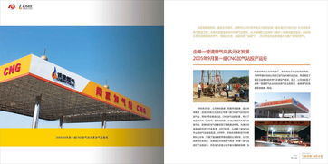 淄博誠(chéng)意燃?xì)馐苣戤媰?cè)設(shè)計(jì) 奧臣策劃設(shè)計(jì)